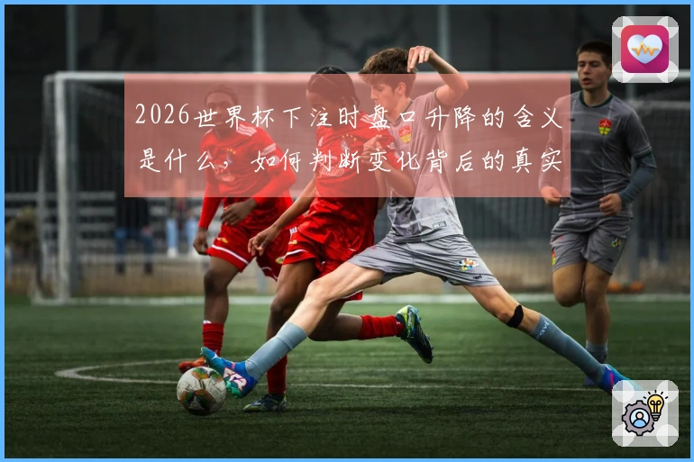 2026世界杯下注时盘口升降的含义是什么，如何判断变化背后的真实信息？