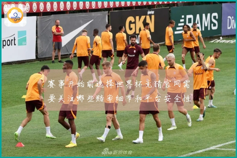 赛事开始前选择世界杯竞猜官网需要关注哪些赔率细节和平台安全性问题
