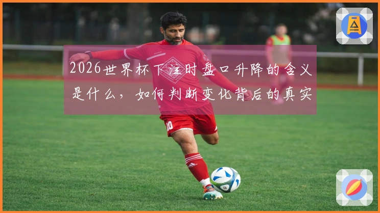 2026世界杯下注时盘口升降的含义是什么，如何判断变化背后的真实信息？