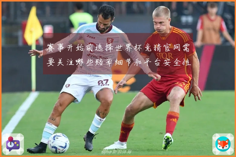 赛事开始前选择世界杯竞猜官网需要关注哪些赔率细节和平台安全性问题
