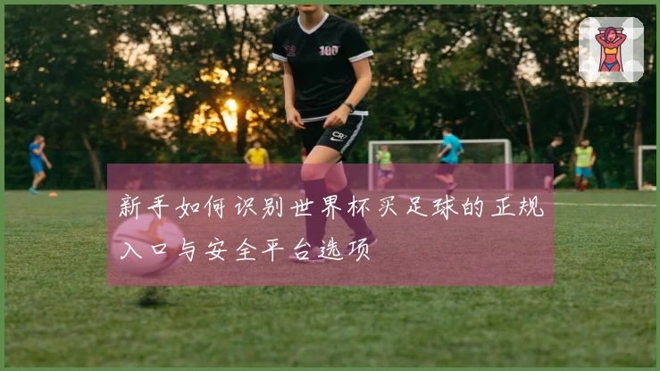 新手如何识别世界杯买足球的正规入口与安全平台选项