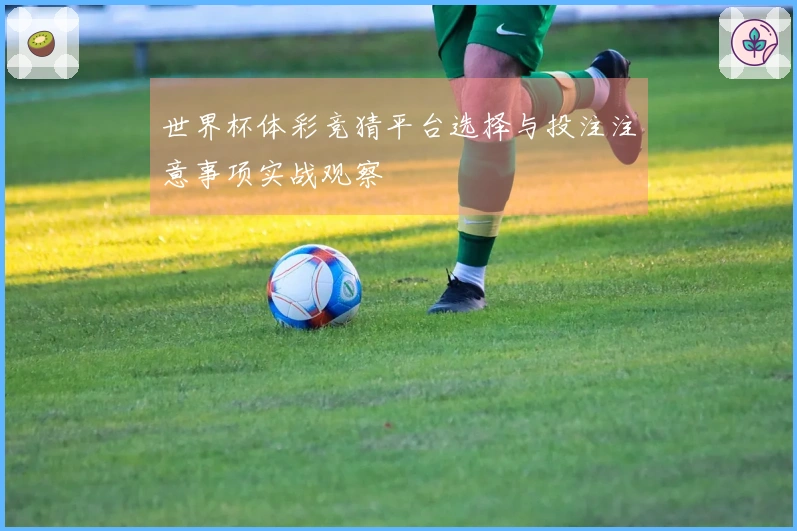 世界杯体彩竞猜平台选择与投注注意事项实战观察